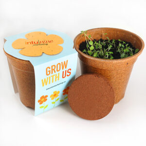Eco-friendly products